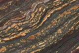 Polished Tiger Iron Stromatolite Slab - Billion Years #222050-1